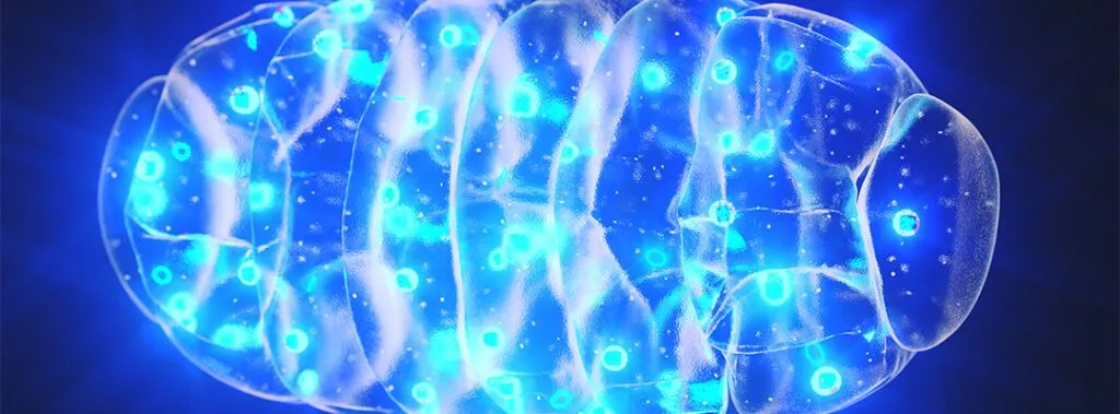 The science behind laser therapy hinges on providing energy to your cells, specifically the mitochondria.